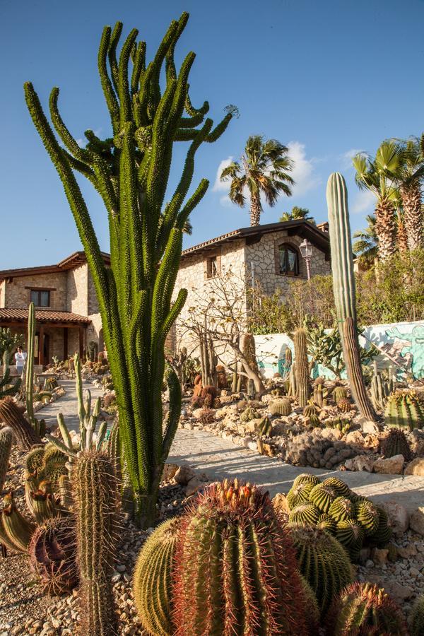 منزل الضيف Villaggio Mosè  في Garden Cactus المظهر الخارجي الصورة